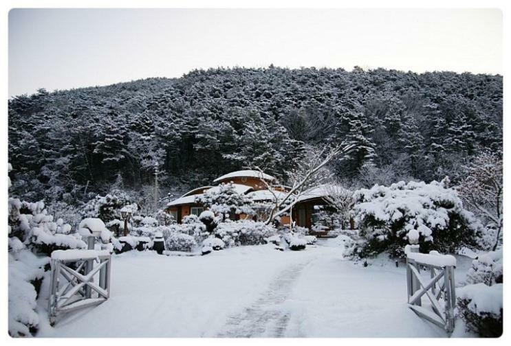 Damyang Songjukheon Pension Exterior foto